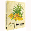 Buchcover Maria Sibylla Merian – St. Petersburger Aquarelle (Jubiläumsausgabe)