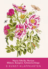 Buchcover Maria Sibylla Merian – Acht Kunst-Klappkarten