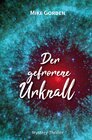Buchcover Der gefrorene Urknall