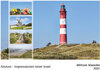 Buchcover Amrum - Impressionen einer Insel (édition blanche, DIN A3 Wandkalender 2021, 42x29.7 cm, Querformat)