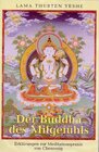 Buchcover Der Buddha des Mitgefühls
