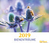 Buchcover Bienenträume 2019