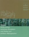 Buchcover Situlen - Bilderwelten zwischen Etruskern und Kelten