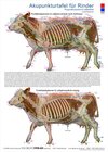 Buchcover Akupunkturtafel für Rinder
