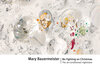 Buchcover Mary Bauermeister: No Fighting on Christmas