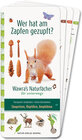 Buchcover Wer hat am Zapfen gezupft? – Wawra's Naturfächer für unterwegs