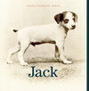 Buchcover Jack