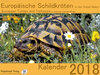 Buchcover Europäische Schildkröten in der freien Natur