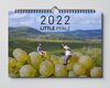 Buchcover Little Pfalz - Wandkalender 2022 (DIN A3)