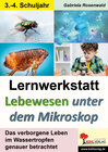 Buchcover Lernwerkstatt Lebewesen unter dem Mikroskop