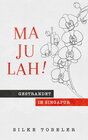 Buchcover Majulah! Gestrandet in Singapur