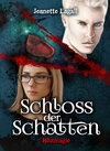 Buchcover Schloss der Schatten 3