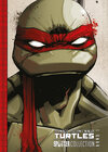 Buchcover Teenage Mutant Ninja Turtles Splitter Collection 01