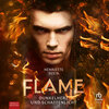 Buchcover Flame 2: Dunkelherz und Schattenlicht