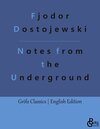 Buchcover Notes from the Underground