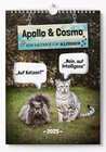 Buchcover Apollo & Cosmo - Kein Kalender für Allergiker