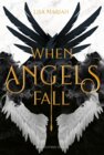 Buchcover When Angels fall
