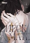 Buchcover Checkmate 04