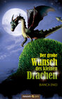Buchcover Der große Wunsch des kleinen Drachen