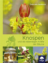 Buchcover Knospen