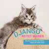 Buchcover Django reitet wieder