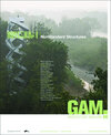 Buchcover GAM 06. Nonstandard Structures