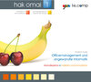 Buchcover go te.comp - HAK Officemanagement und angewandte Informatik 1 (inkl. Trainingssoftware)