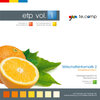 Buchcover go te.comp - HAK Wirtschaftsinformatik 2 (inkl. Trainingssoftware)