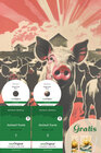 Buchcover Animal Farm / Farm der Tiere - 2 Teile (2 Bücher + 2 MP3-Audio-CD + exklusive Extras) - Frank-Lesemethode