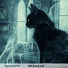 Buchcover The Black Cat - Englisch-Hörverstehen meistern