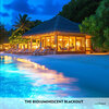 Buchcover The Bioluminescent Blackout - Englisch-Hörverstehen meistern