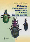Buchcover Molecular Phylogeny and Evolution of Carabid Ground Beetles