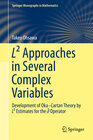 Buchcover L² Approaches in Several Complex Variables