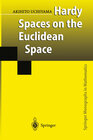 Buchcover Hardy Spaces on the Euclidean Space