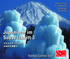 Buchcover Japanisch im Sauseschritt. Modernes Lehr- und Übungsbuch für Anfänger