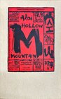 Buchcover Hollow Mountain