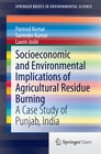Buchcover Socioeconomic and Environmental Implications of Agricultural Residue Burning