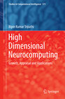 Buchcover High Dimensional Neurocomputing