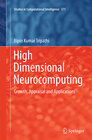 Buchcover High Dimensional Neurocomputing