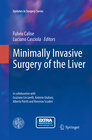Buchcover Minimally Invasive Surgery of the Liver