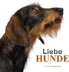 Buchcover Liebe Hunde