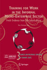 Buchcover Training for Work in the Informal Micro-Enterprise Sector