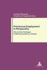 Buchcover Precarious Employment in Perspective