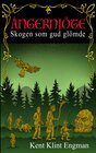 Buchcover Ångernjöte