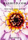 Buchcover MAXBILD.COM