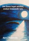 Buchcover Det finns inget mörker, endast bristande syn