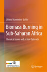 Buchcover Biomass Burning in Sub-Saharan Africa