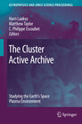 Buchcover The Cluster Active Archive