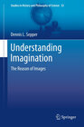 Buchcover Understanding Imagination