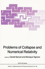 Buchcover Problems of Collapse and Numerical Relativity
